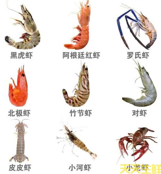 ʳ͸㣬10ֳϺ(ͼ1)