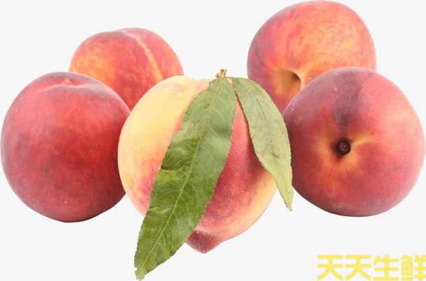 ļȳʲôˮã߲͹˾6ˮ(ͼ2)